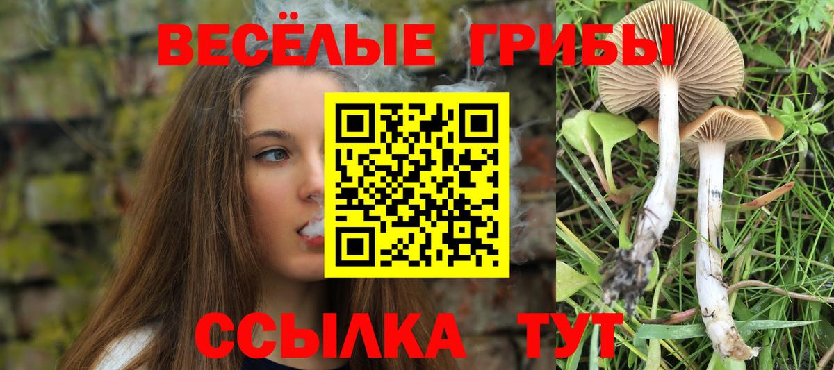 Видное  Псилоцибиновые грибы ЛСД  Вход с VPN 